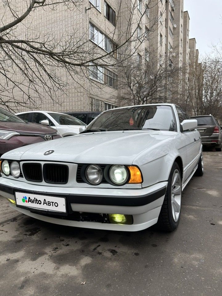 BMW 5 серия: фото владельца