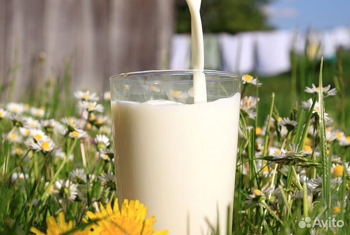 Козье Молоко