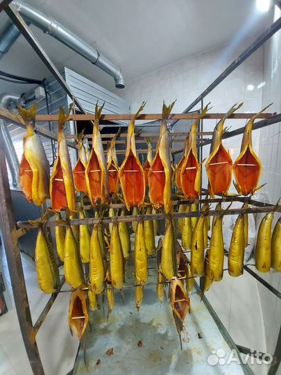 Продавец в магазин рыбы