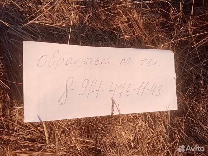 Сено в рулонах