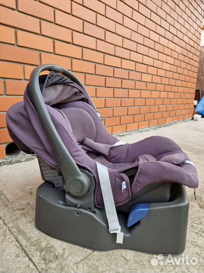 Коляска inglesina sofia 3 в 1 шасси ergo bike