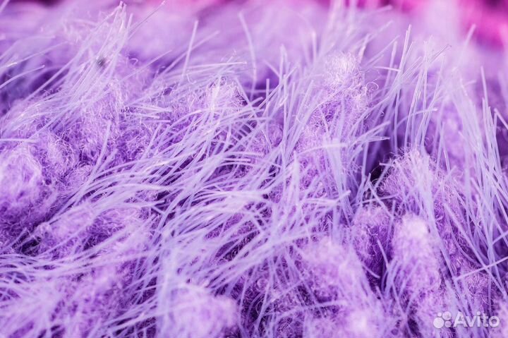 Диск Инволвер Involver Гринвей greenway