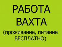 Упаковщик на алкогольный склад/Вахта/Обед+Жилье