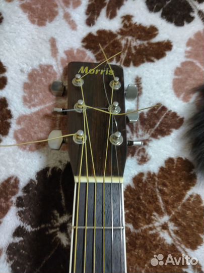 Акустическая гитара morris w-25 japan