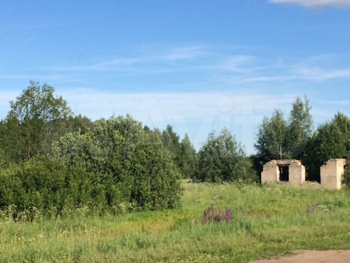 Участок 14,4 сот. (СНТ, ДНП)