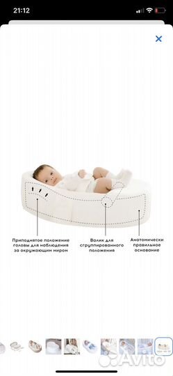 Кокон зевушка