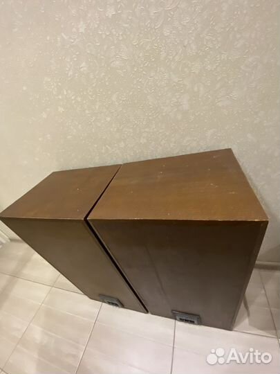 Колонки Союз 50ас-012