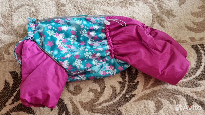 Костюмчик для собаки