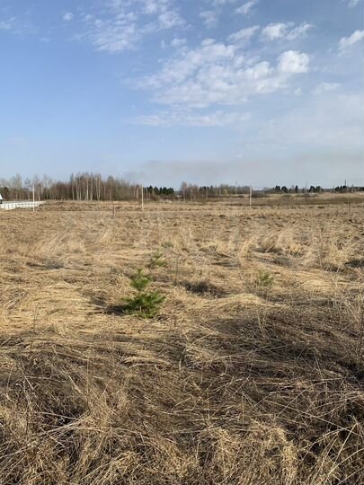 Участок 16 сот. (СНТ, ДНП)