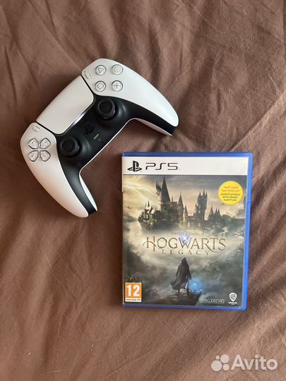 Hogvarts legacy ps5