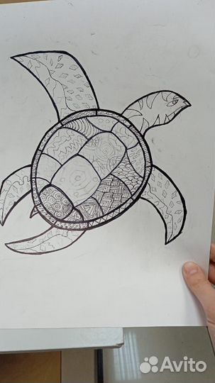 Акварельные рисунки