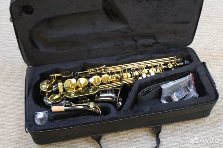 Саксофон альт Roy Benson AS-202K