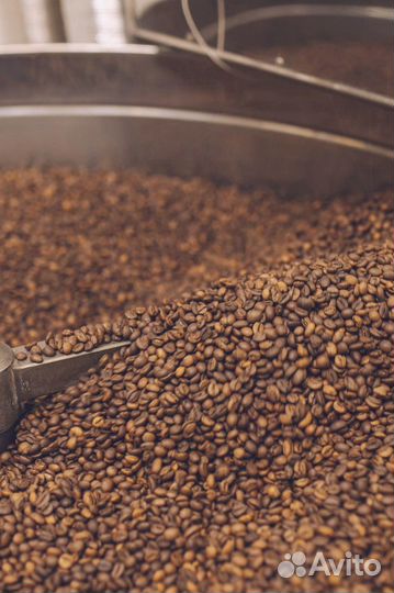 Свежеобжаренный - Makala кофе зерновой опт