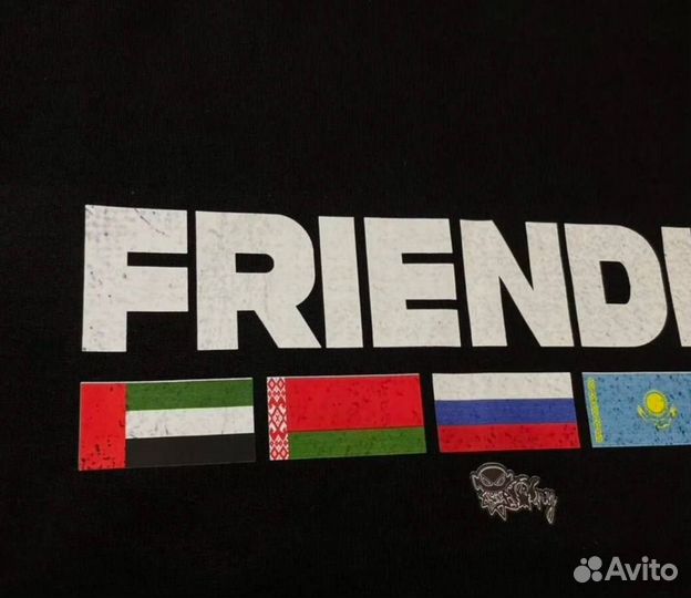 Худи friendly Tommy Sinny