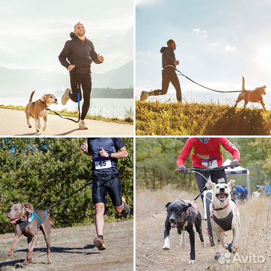 Поводок для бега с собакой весом до 30 кг