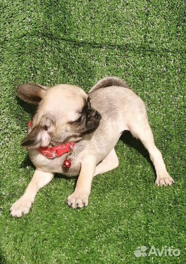 Мини девочка и мальчик