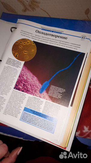 Энциклопедия Diagostini