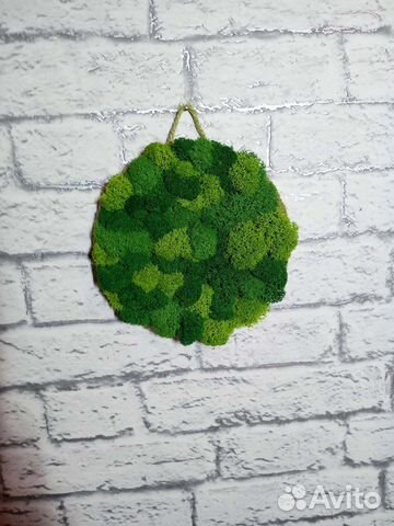 Фитокартина