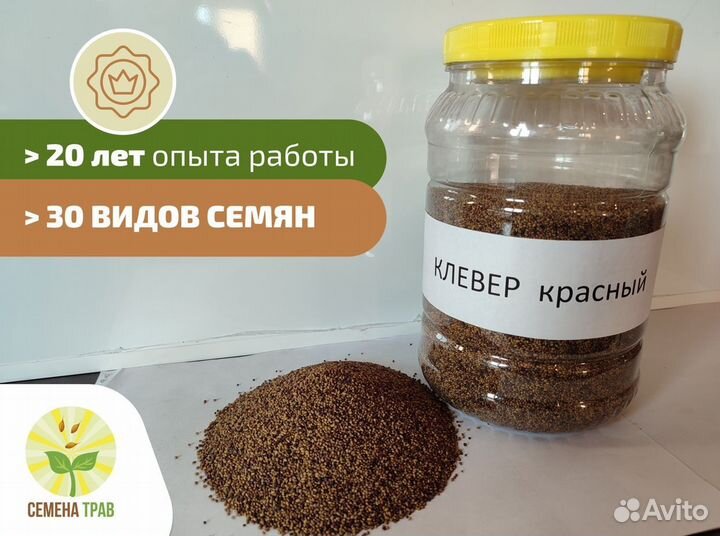 Семена клевера красного