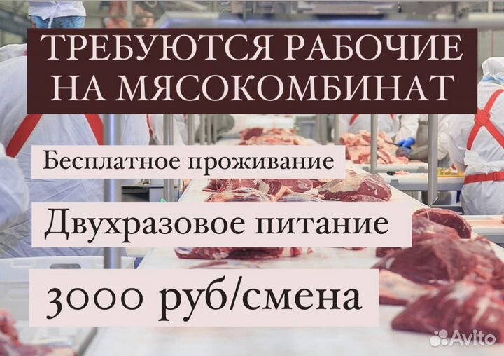 Работа вахтой на мясокомбинат