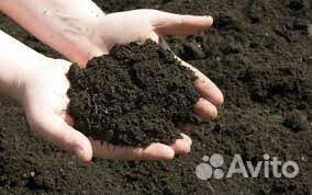 Чернозём плодородный