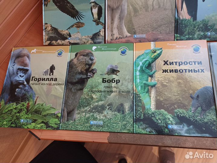 Книги. Энциклопедия животных