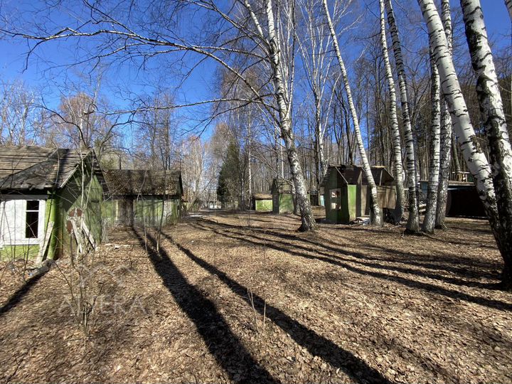 Участок 30 сот. (СНТ, ДНП)