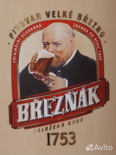 Пивная кружка Breznak