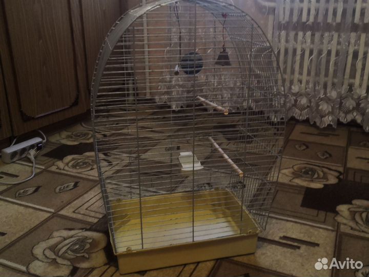 Для попугаев