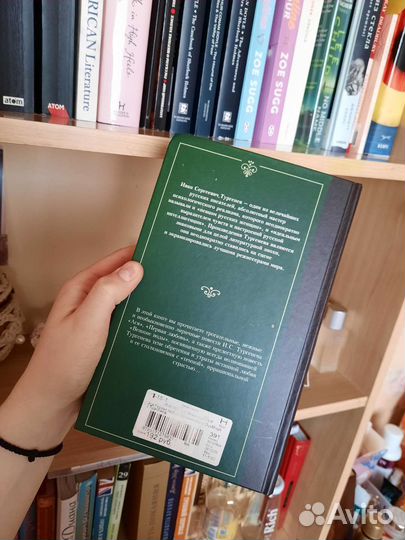 И. Тургенев - Ася, Первая любовь, Вешние воды