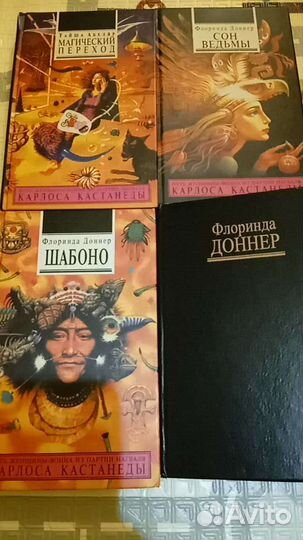 Флоринда Доннер, Тайша Абеляр