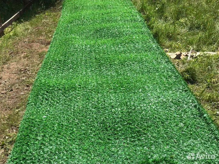 Жидарский забор / Зеленый забор изгородь