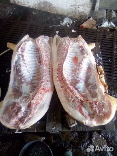 Мясо свинина домашняя