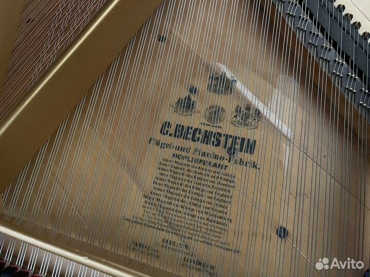 Рояль С. Bechstein