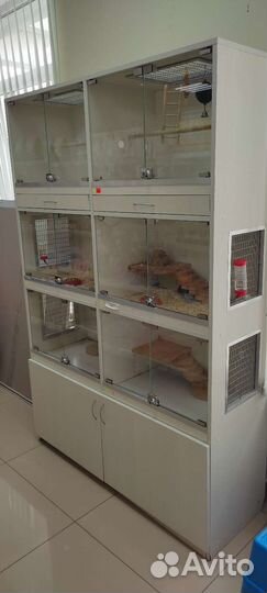 Витрины для шиншилл, крупных грызунов