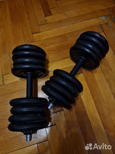 Гантели разборные 40 кг barbell titan