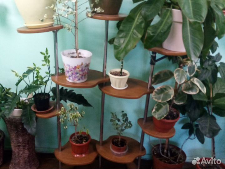 Подставка для цветов напольная деревянная