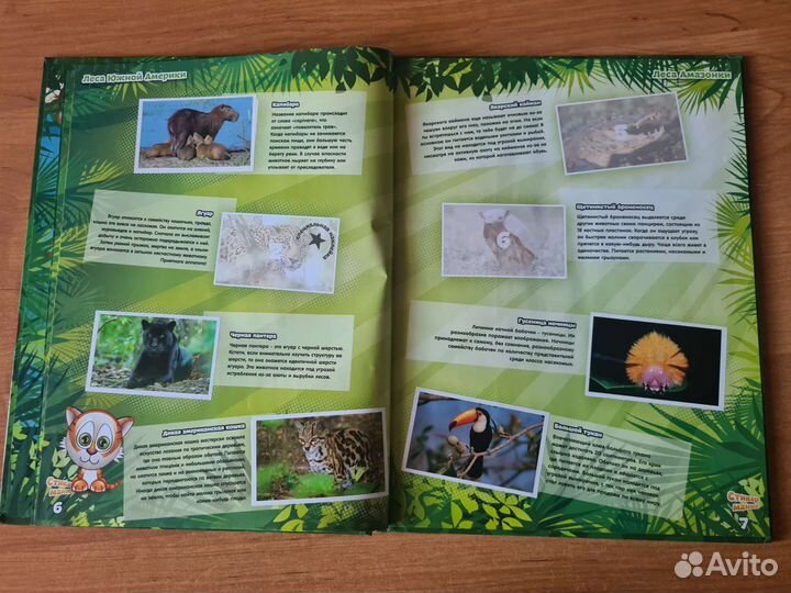 Журнал Стикермания Карусель и набор наклеек