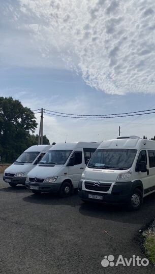 Заказ автобуса Аренда микроавтобуса