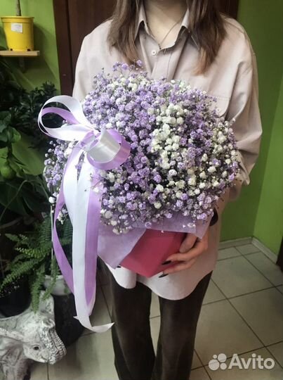 Композиции из гипсофилы