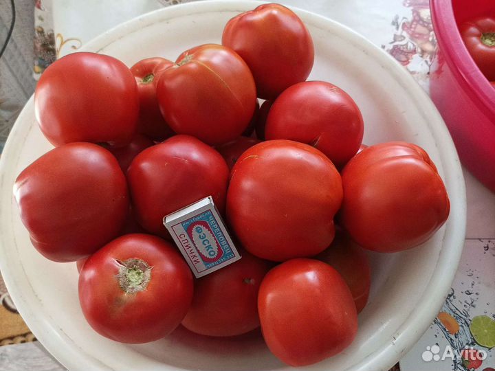 Помидоры домашние