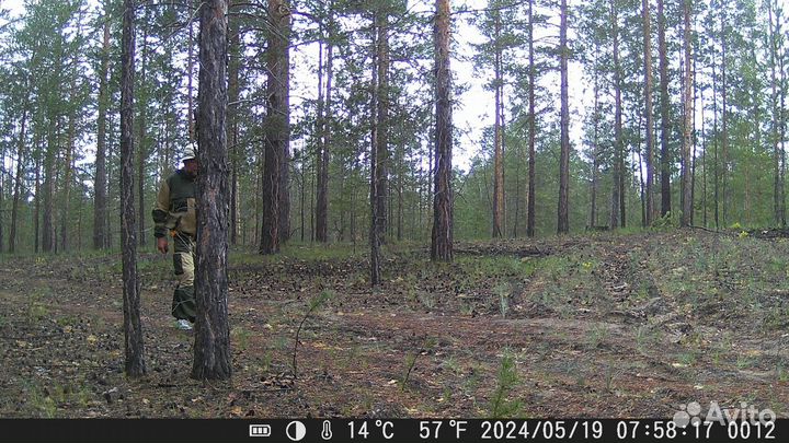 Фотоловушка Suntek HC-900A и Suntek HC-801A