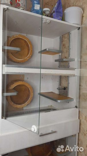 Клетка витрина для грызунов