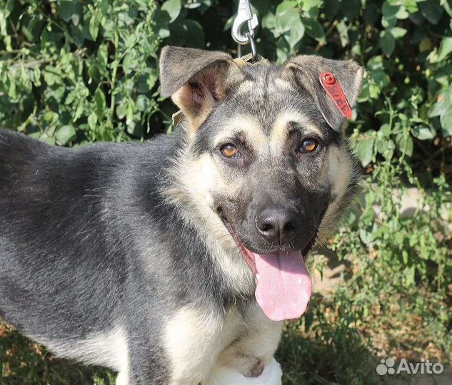 Милаха ищет тех, кого будет любить и доверять