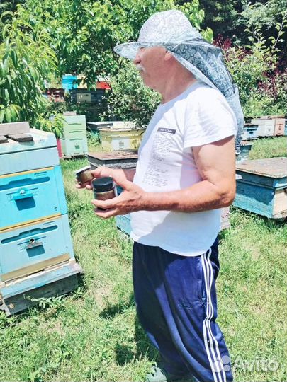 Глистогонный препарат на медовой основе