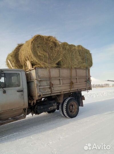 Сено в рулонах
