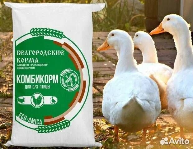 Комбикорм