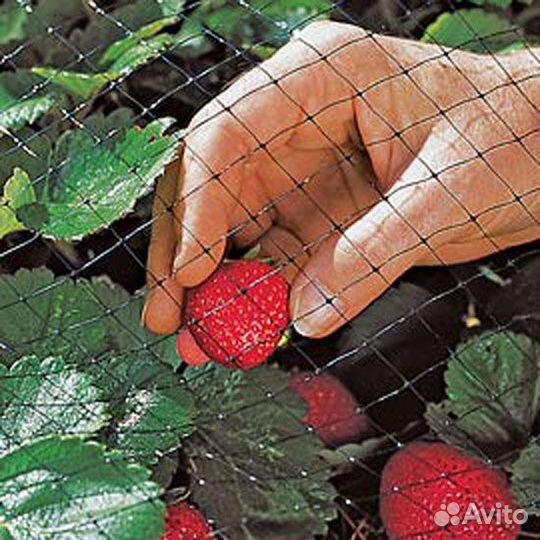 Защитная сетка от Птиц для сада
