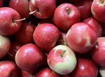 Яблоки оптом и розницу