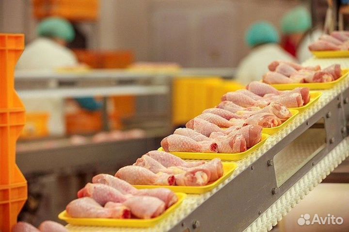 Упаковщики на Птицефабрику 